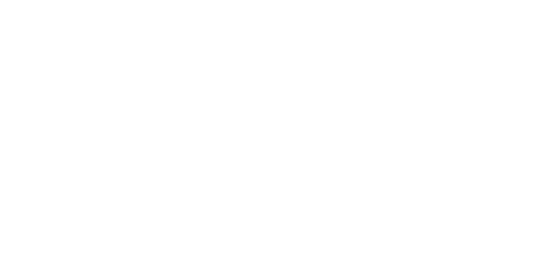 VirginBet Casino Logo