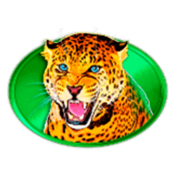 symbol img
