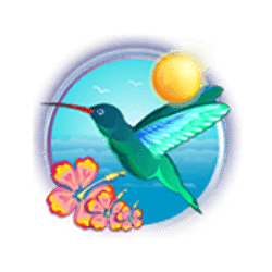 symbol img