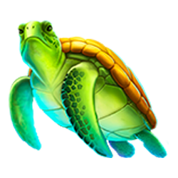 symbol img