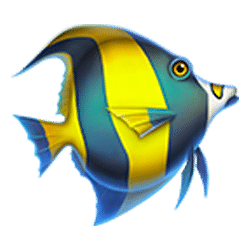 symbol img
